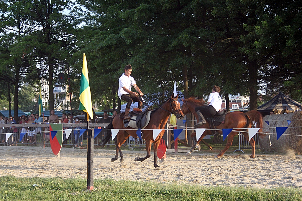 Horse show