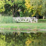 bridge in a park