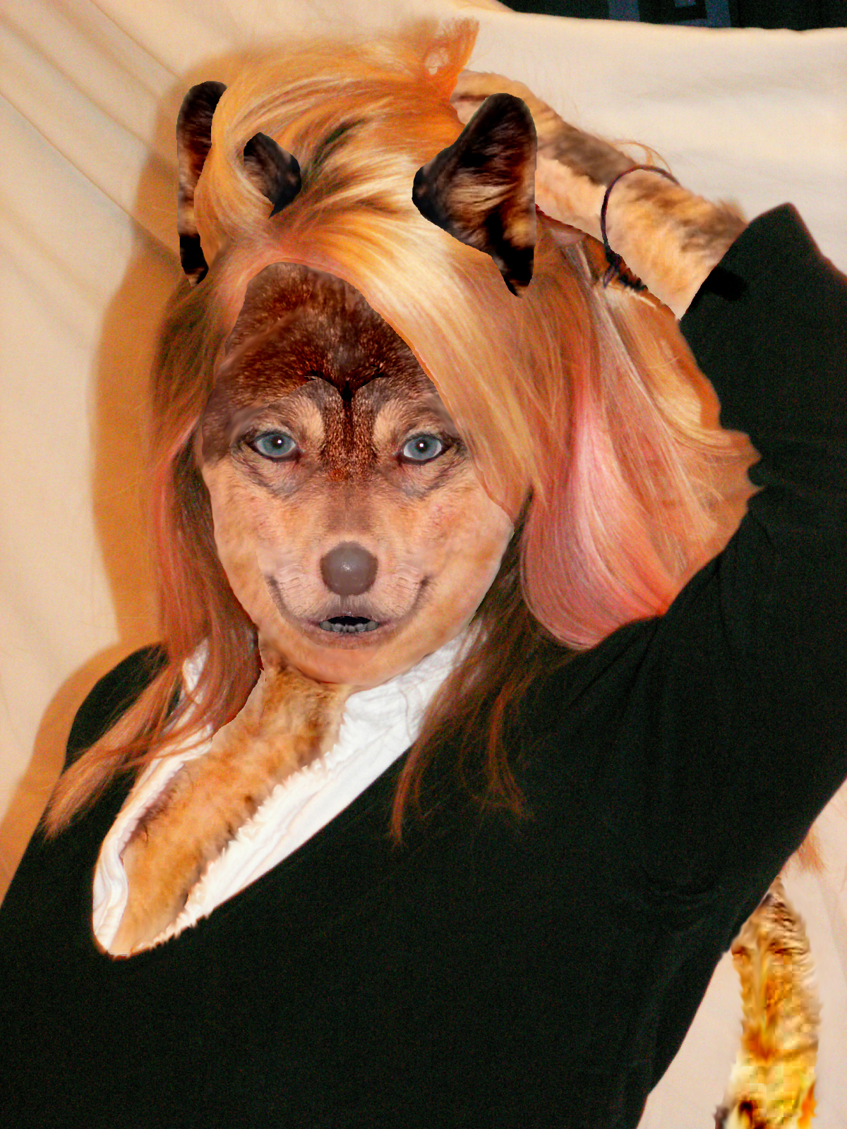 Blonde Wolf by WolfinOut on DeviantArt