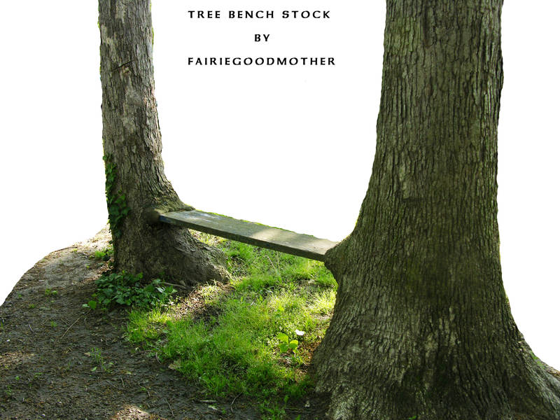 Natural Tree Bench Stock 2 by FairieGoodMother