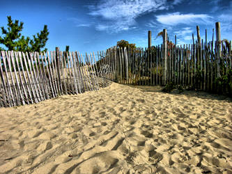 Beach Background stock