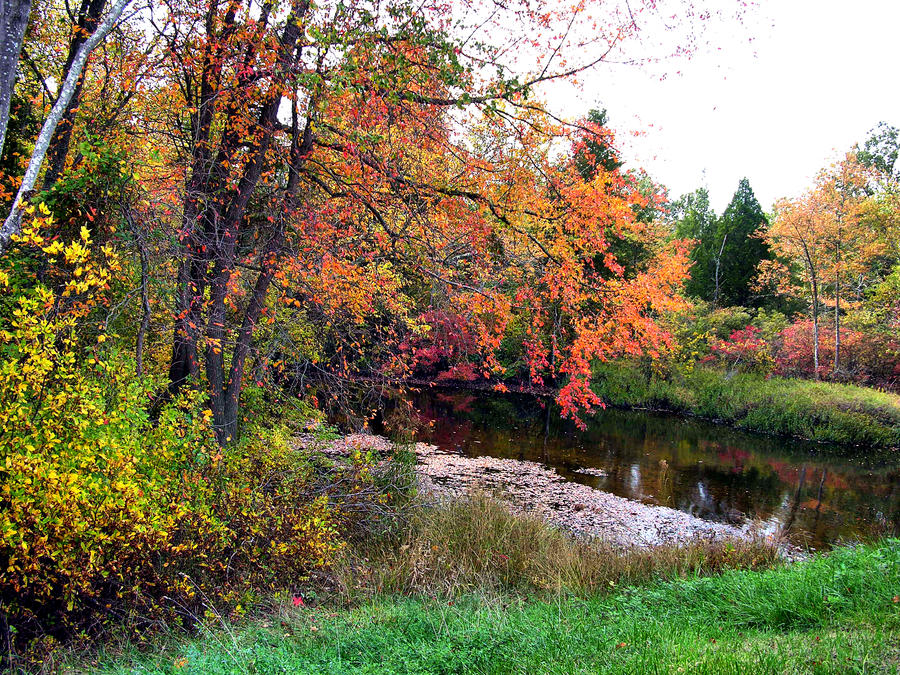 Fall Pictures