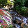 Garden with waterfall stock 6