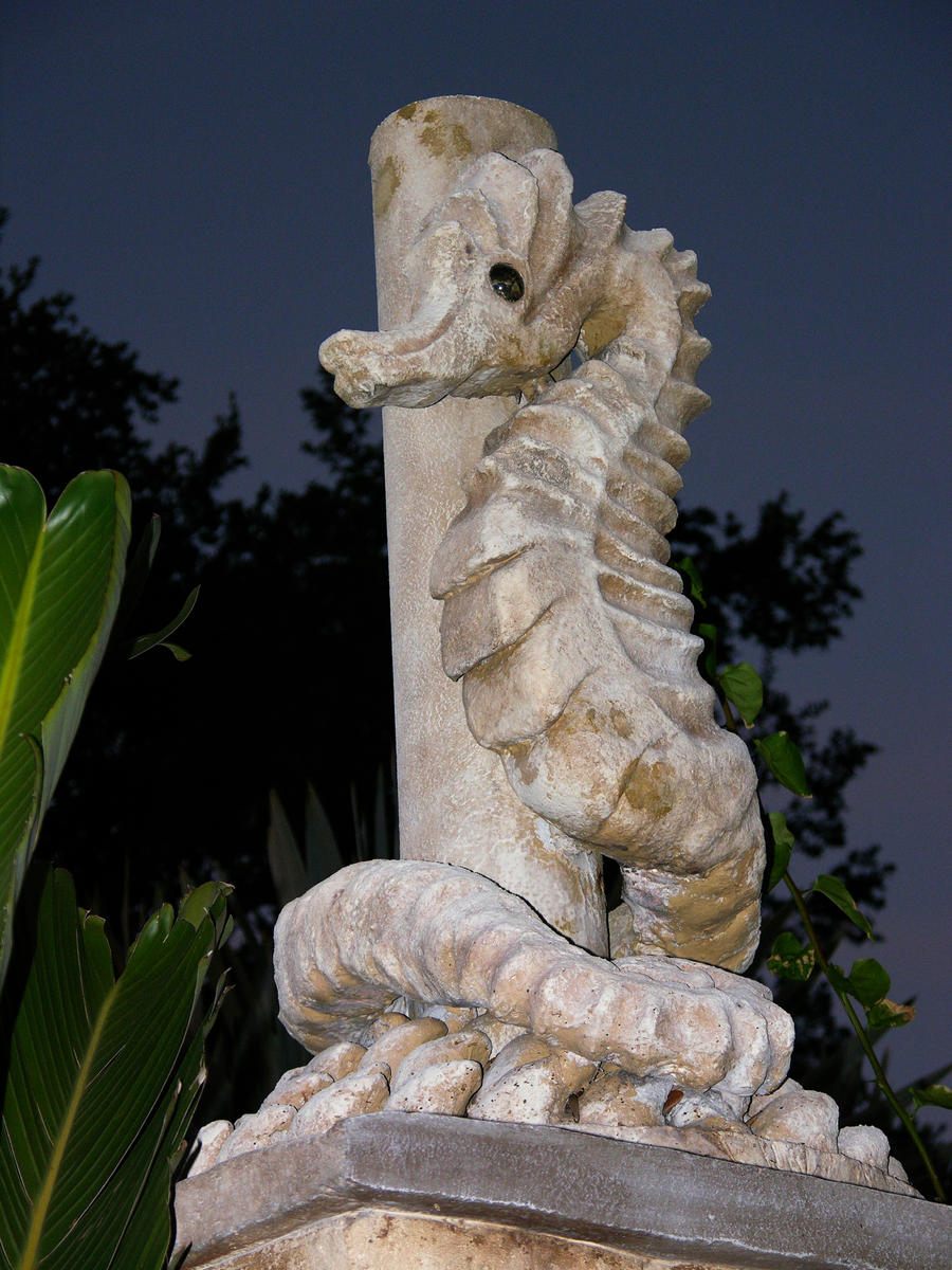 Seahorse 3