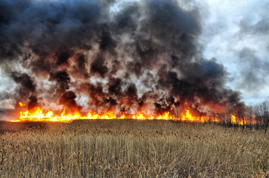 Grass Rfire Grass Fire Stock 21 by FairieGoodMother on DeviantArt