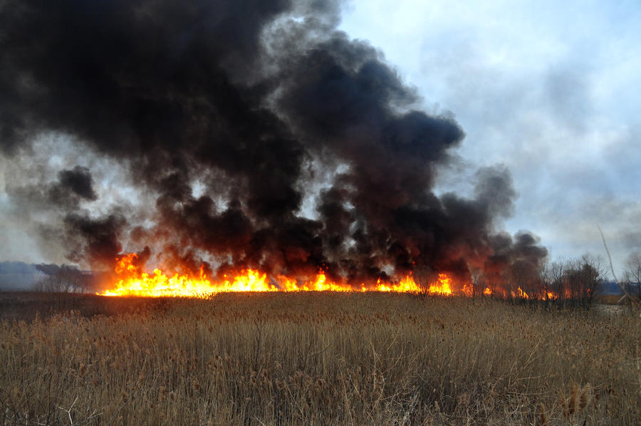 Grass Rfire Grass Fire Stock 22 by FairieGoodMother on DeviantArt