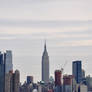 New York Stock 18