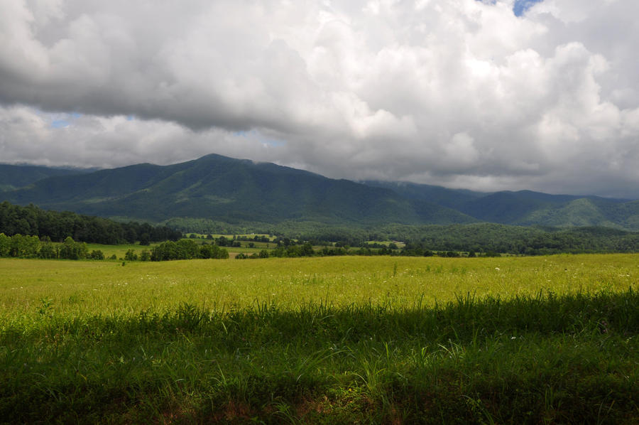 Smokey Mountains Stock 25