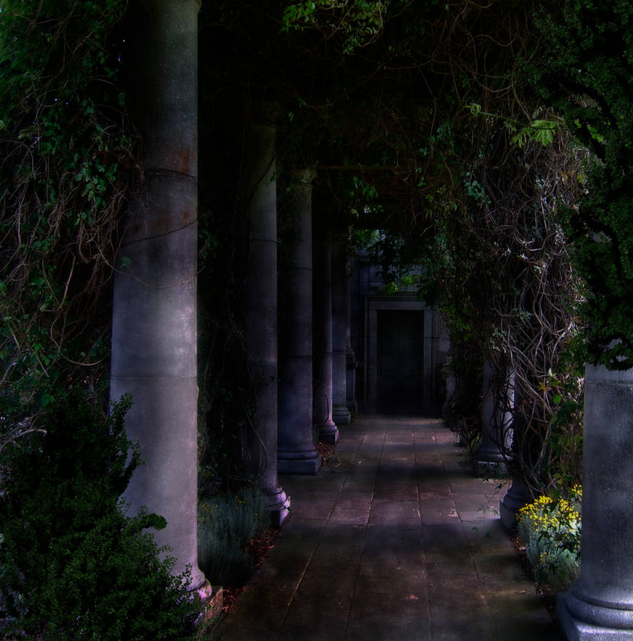 Ужасные сад. Развалины храма плющ Эстетика. Темный сад. Мрачный сад. Мистический сад.