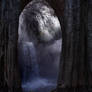 Premade BK Stock 272
