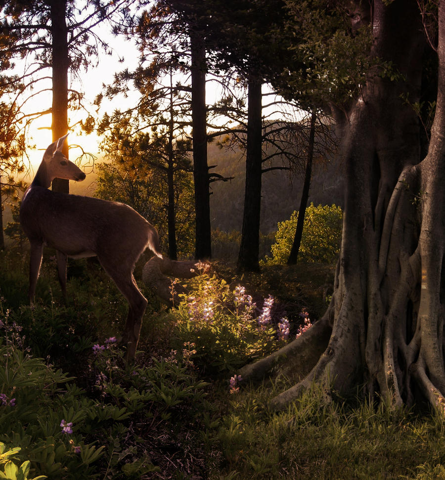 Premade BK Stock 345 by FairieGoodMother