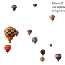 Precute Hot Air Balloons 3