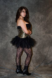 Female Burlesque Stock 28