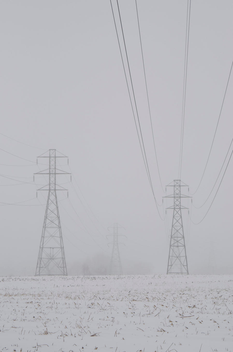 Foggy Mist Powerline 2