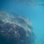 Bermuda 053  Underwater Stocks