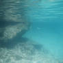 Bermuda 062  Underwater Stocks