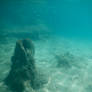 Bermuda 064  Underwater Stocks
