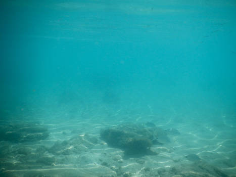 Bermuda 068  Underwater Stocks
