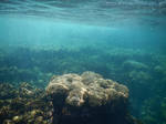 Panama Canal underwater stock 013 by FairieGoodMother