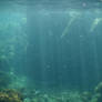 Panama Canal Underwater 001