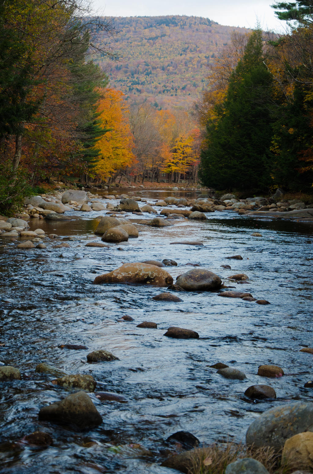 White Mountains  Fall Foliage  162