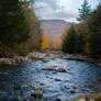 White Mountains Fall Foliage 180