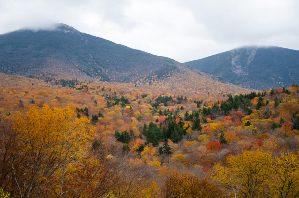 White Mountains  Fall Foliage  099 by FairieGoodMother