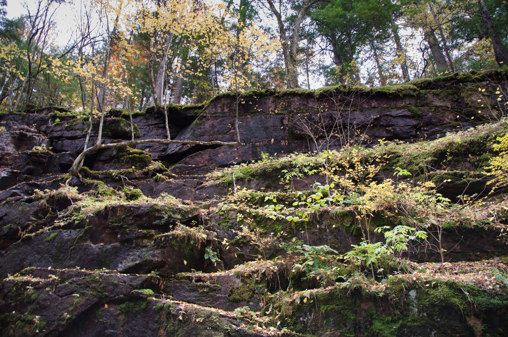 White Mountains  Fall Foliage  154