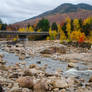 White Mountains  Fall Foliage  189