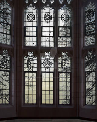 Window Background 5 FGM
