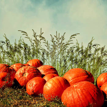 Premade Background FGM