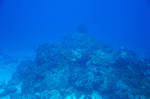 Barrier Reef 04