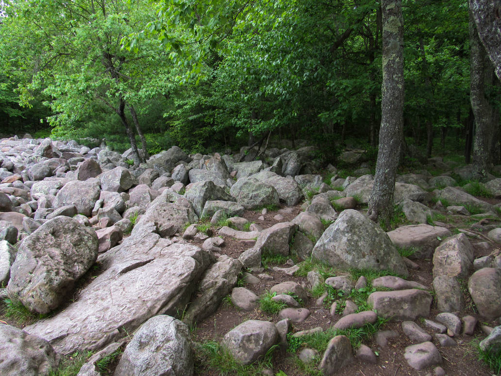 Hickory Run State Park by FairieGoodMother