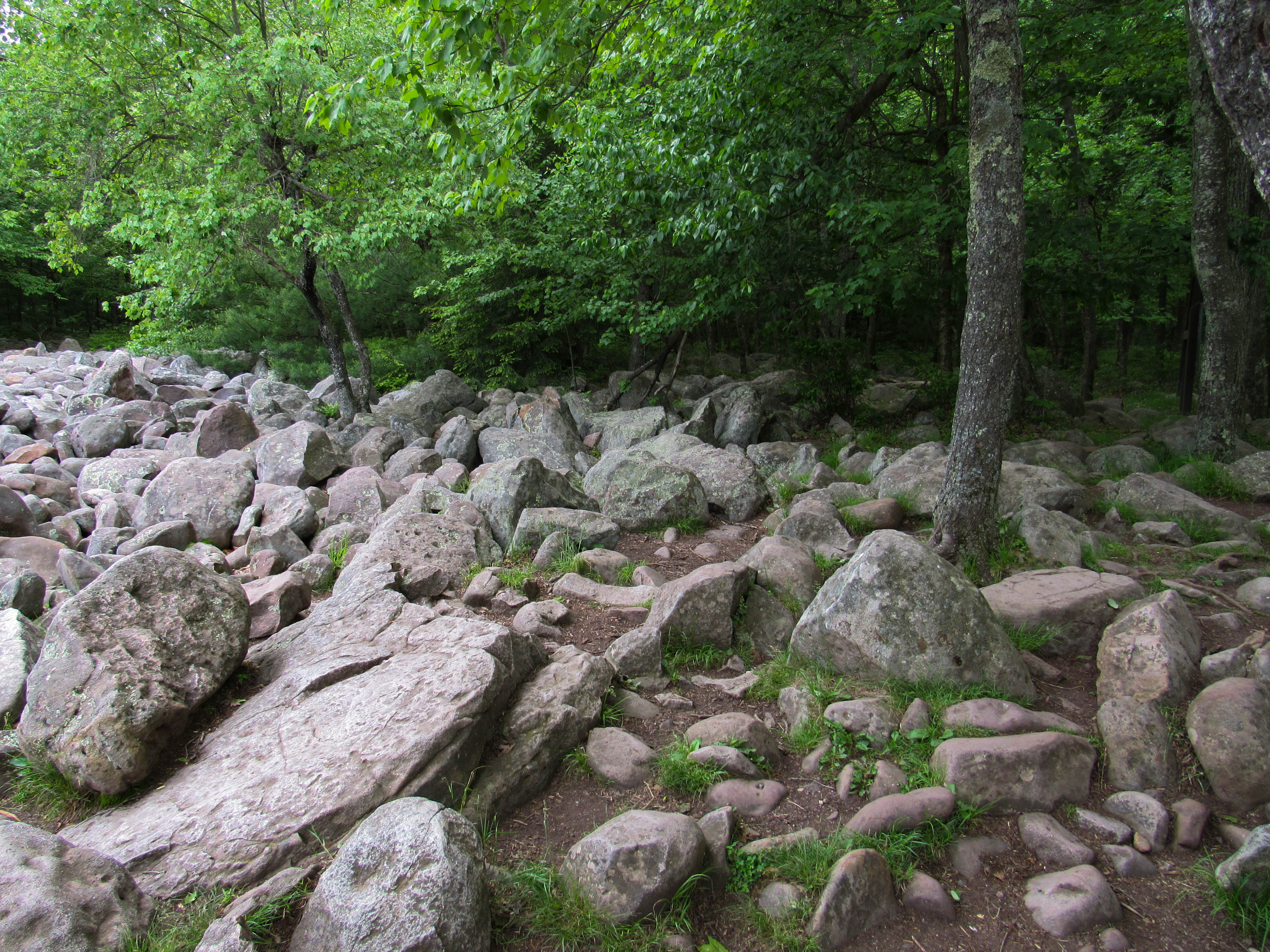 Hickory Run State Park by FairieGoodMother