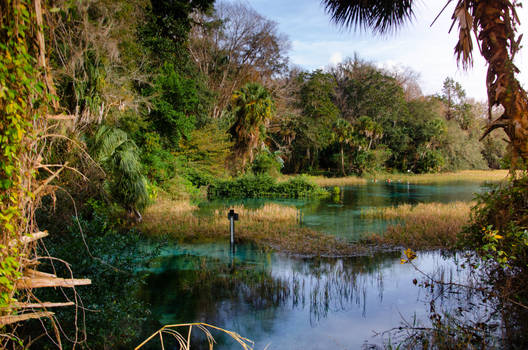 Florida  Rainbow Springs