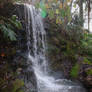 Florida  Rainbow Springs