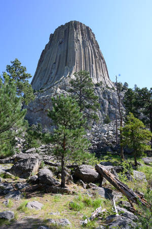 Devils Tower by FairieGoodMother