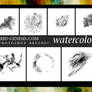HG Photoshop Watercolor Brushes (3)