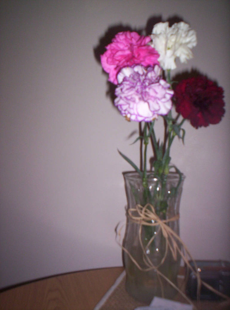 Softer, Softest by postergirl on DeviantArt