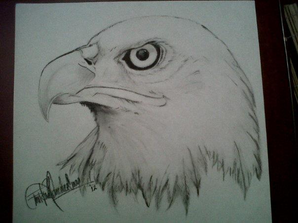 Golden Eagle