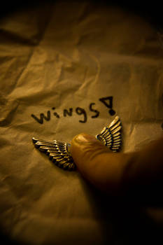 Wings