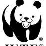 WTF WWF Pedo Bear