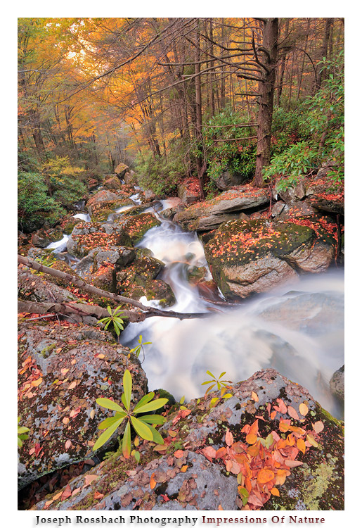 Looking Down Falls by joerossbach