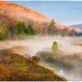 Mountain Meadow Fog