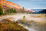 Mountain Meadow Fog by joerossbach