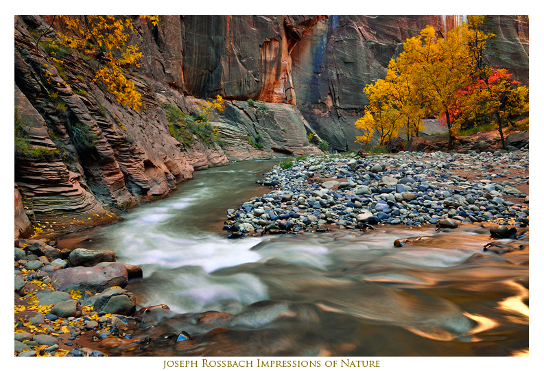 Cottonwood Curve