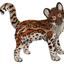 Ocelot