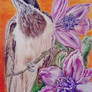 Img-20221111-wa0007