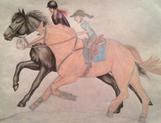 collab with Dressageisaboss