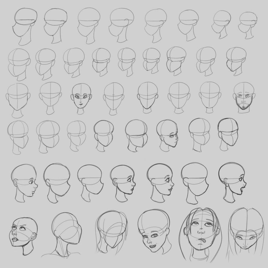 Toonbox Head Shapes Practice by dykmoby on DeviantArt